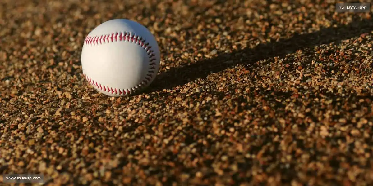 为什么选择我们